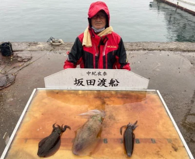坂田渡船の2023年11月27日(月)2枚目の写真