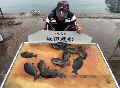 坂田渡船の2023年11月27日(月)3枚目の写真