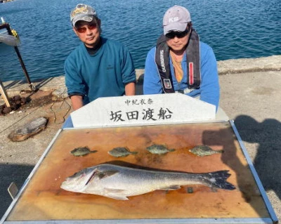坂田渡船の2023年11月28日(火)1枚目の写真