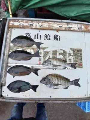築山渡船の2023年12月5日(火)2枚目の写真