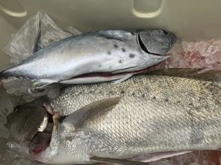 博栄丸の2023年12月5日(火)3枚目の写真