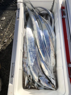 快弘丸の2023年12月8日(金)1枚目の写真