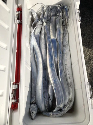 快弘丸の2023年12月8日(金)2枚目の写真