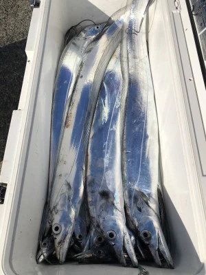 快弘丸の2023年12月9日(土)3枚目の写真