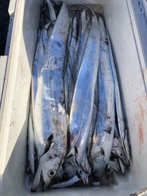 快弘丸の2023年12月9日(土)4枚目の写真