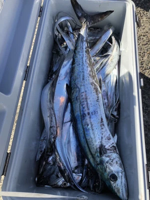 快弘丸の2023年12月9日(土)5枚目の写真