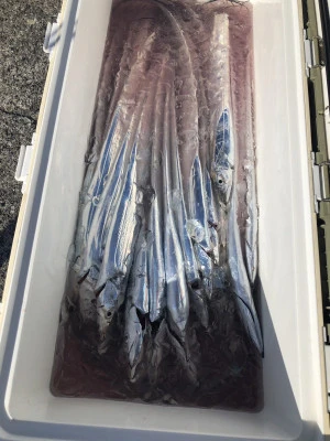 快弘丸の2023年12月10日(日)1枚目の写真