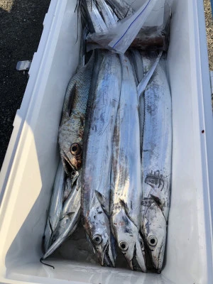 快弘丸の2023年12月11日(月)1枚目の写真