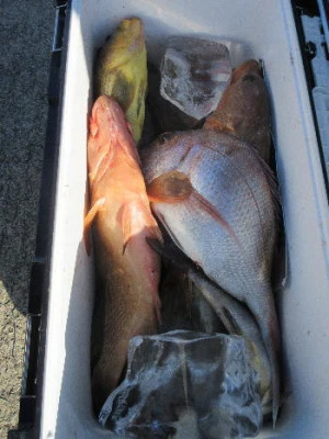 中山総合釣センター・海遊の2023年10月30日(月)5枚目の写真
