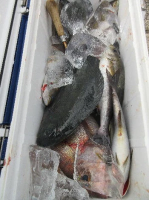 中山総合釣センター・海遊の2023年11月12日(日)3枚目の写真