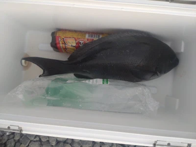 ふかしま丸の2023年11月29日(水)2枚目の写真