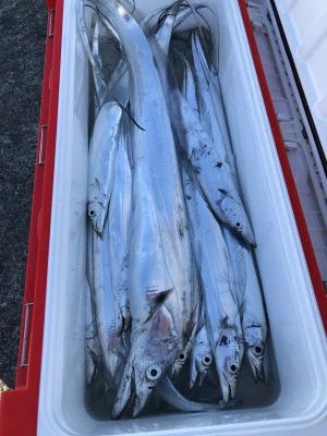 快弘丸の2023年12月19日(火)3枚目の写真