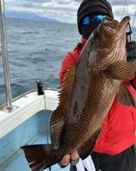 菜々海IIの2023年12月17日(日)1枚目の写真