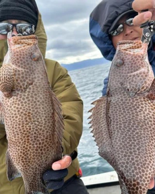 菜々海IIの2023年12月17日(日)3枚目の写真