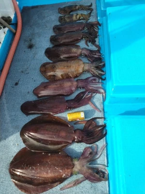 日正丸の2023年12月24日(日)2枚目の写真