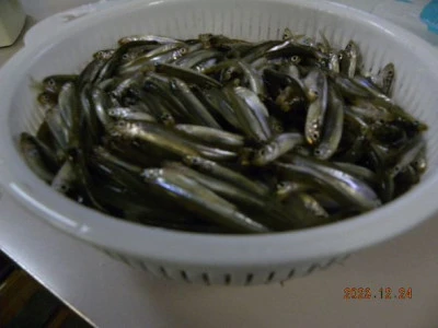 湖畔荘の2023年12月24日(日)1枚目の写真