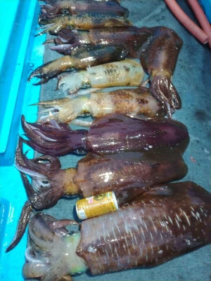 日正丸の2024年1月3日(水)2枚目の写真