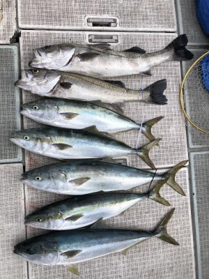 ARCADIA SALTWATER SERVICEの2023年12月30日(土)5枚目の写真
