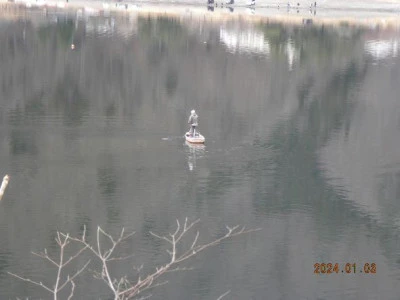 湖畔荘の2024年1月3日(水)2枚目の写真