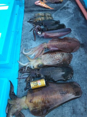 日正丸の2024年1月2日(火)2枚目の写真