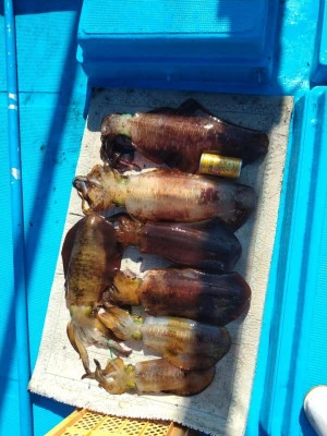 日正丸の2023年12月29日(金)2枚目の写真