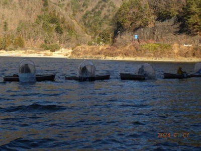 湖畔荘の2024年1月7日(日)1枚目の写真