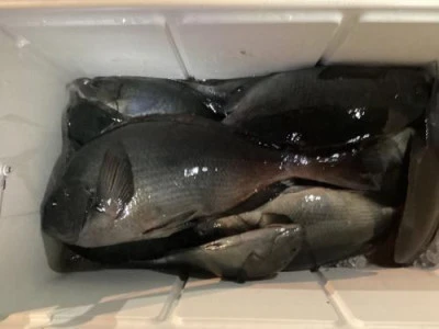 浜吉丸の2024年1月11日(木)2枚目の写真