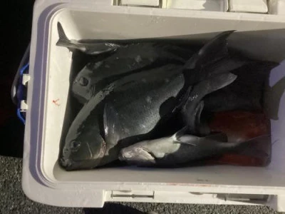 浜吉丸の2024年1月11日(木)3枚目の写真