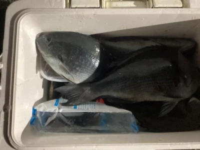 浜吉丸の2024年1月11日(木)4枚目の写真