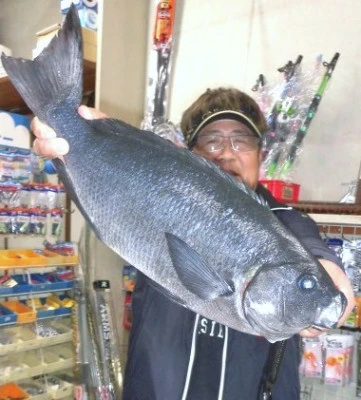 一樹丸の2023年12月24日(日)1枚目の写真