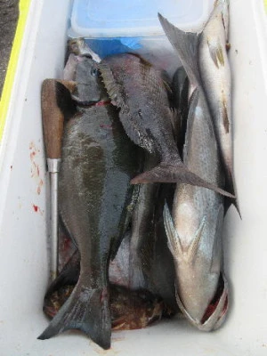 中山総合釣センター・海遊の2023年12月28日(木)5枚目の写真