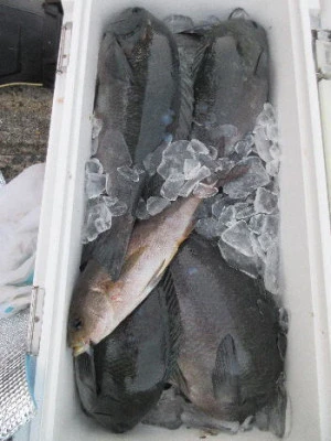 中山総合釣センター・海遊の2023年12月29日(金)2枚目の写真