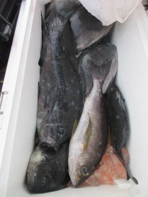 中山総合釣センター・海遊の2023年12月29日(金)3枚目の写真