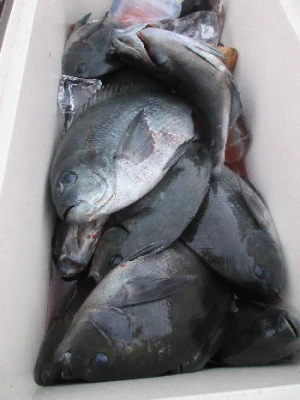 中山総合釣センター・海遊の2023年12月29日(金)4枚目の写真