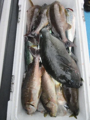 中山総合釣センター・海遊の2024年1月3日(水)1枚目の写真