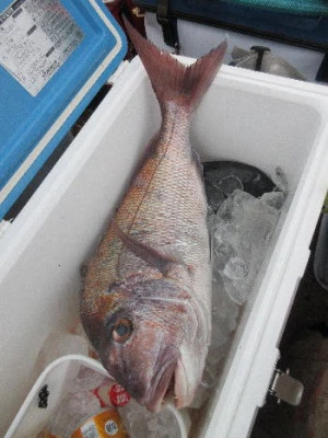 中山総合釣センター・海遊の2024年1月3日(水)4枚目の写真