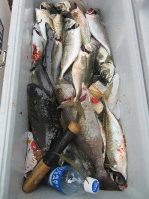 中山総合釣センター・海遊の2024年1月3日(水)5枚目の写真