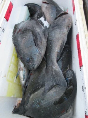 中山総合釣センター・海遊の2024年1月5日(金)1枚目の写真