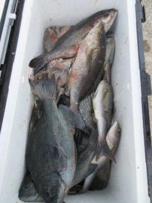 中山総合釣センター・海遊の2024年1月5日(金)2枚目の写真