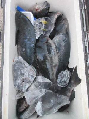中山総合釣センター・海遊の2024年1月5日(金)3枚目の写真
