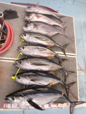 義丸の2024年1月5日(金)4枚目の写真