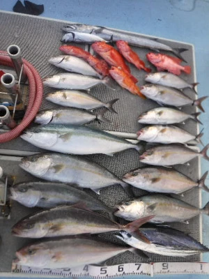 義丸の2024年1月6日(土)5枚目の写真