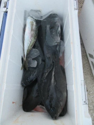 中山総合釣センター・海遊の2024年1月13日(土)2枚目の写真