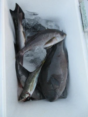 中山総合釣センター・海遊の2024年1月13日(土)4枚目の写真