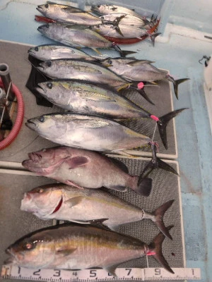 義丸の2024年1月17日(水)4枚目の写真