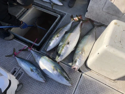 ARCADIA SALTWATER SERVICEの2024年1月27日(土)5枚目の写真