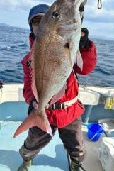 菜々海IIの2024年2月11日(日)5枚目の写真