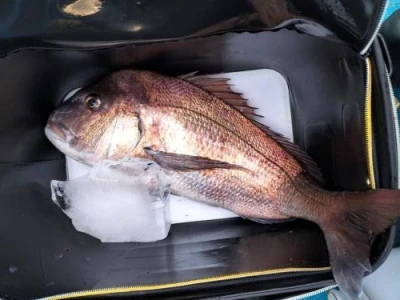 浜吉丸の2024年1月30日(火)1枚目の写真