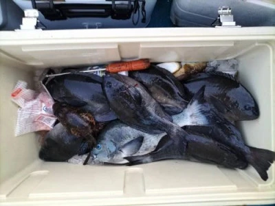 浜吉丸の2024年1月30日(火)2枚目の写真