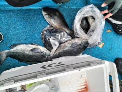 浜吉丸の2024年1月30日(火)3枚目の写真